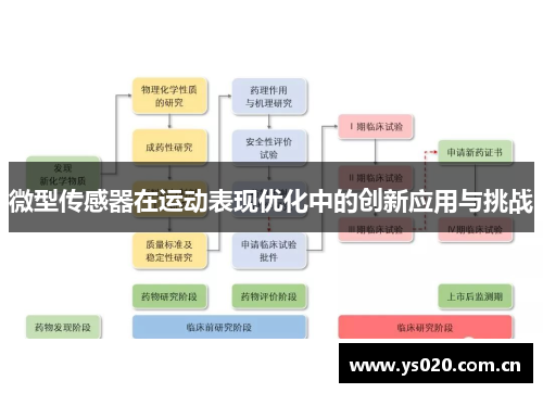 微型传感器在运动表现优化中的创新应用与挑战